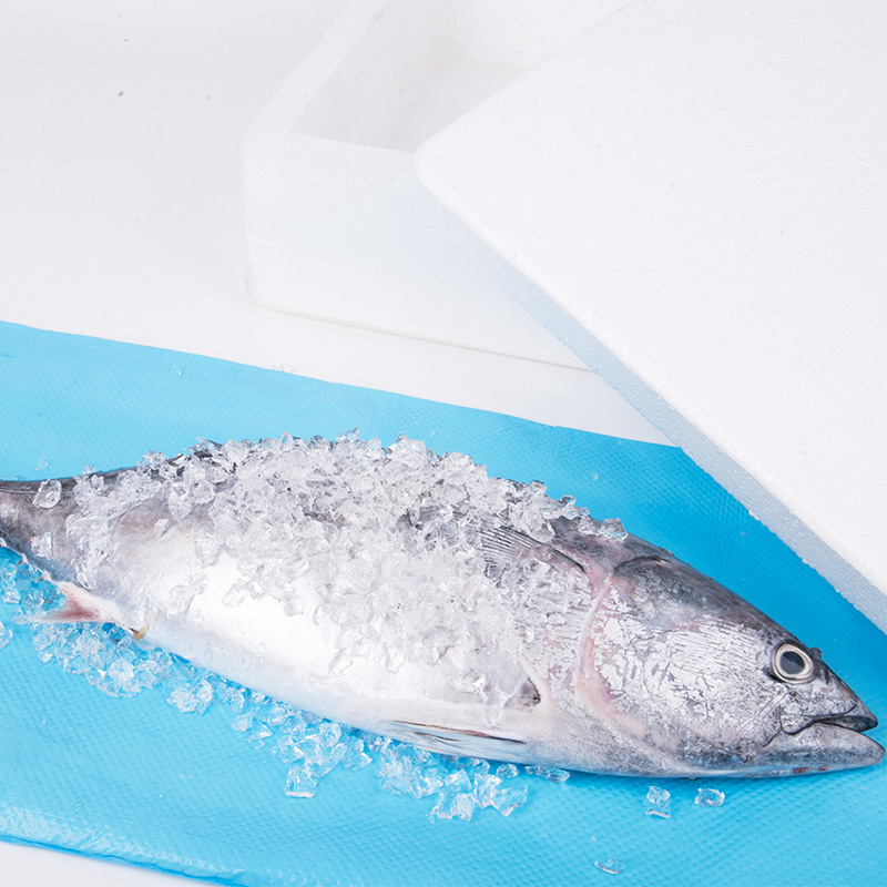Keep Food Fresh Food Soaker Pad Meat Absorbent Pad