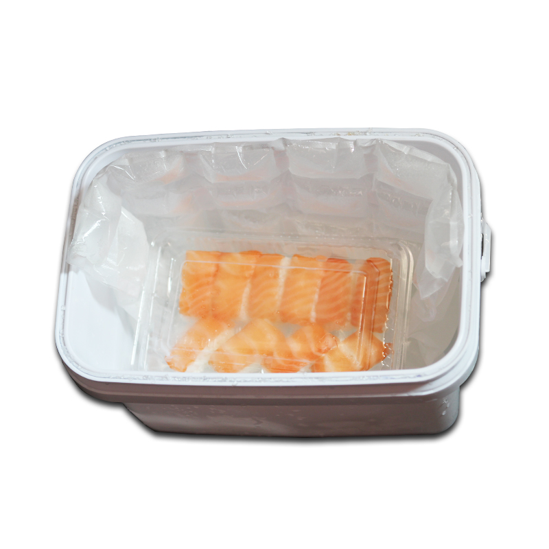 Custom Disposable Cooler Bag Lunch Box Ice Pack