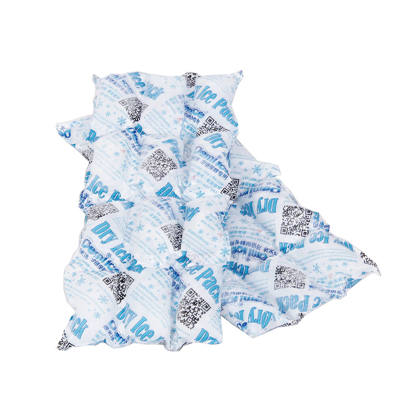 New Arrival Sap Cooler Bag Manufacturer Ice Gel Pack for Lunch Bag