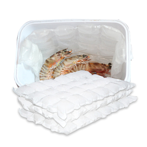 Custom Disposable Cooler Bag Lunch Box Ice Pack